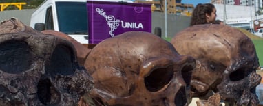 exposição de réplicas de crânios fósseis de humanos no evento unila na feira