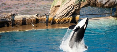 SeaWorld San Diego Park California