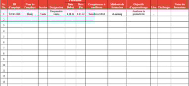 Plan de développement des compétences excel : modèle avec programme de formation