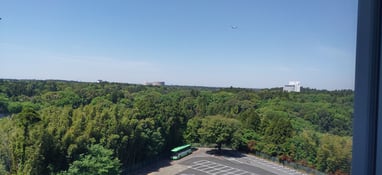 Widok z Hotelu