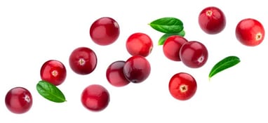 Drawing of bouncing cranberries