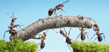 Idée de résolution personnelle