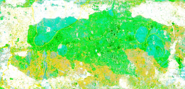 AWC # 279 “Vibration Series”