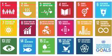 Tie a TreeAndHumanKnot to achieve Sustainable Development Goals with vision 2030 Join the movement