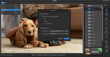 screen shot of fotor photo editor
