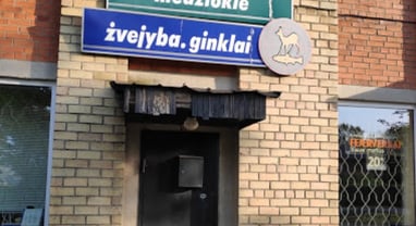 naktižibis Mažeikiai