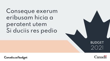 a sample template for the Budget 2021 Shareables