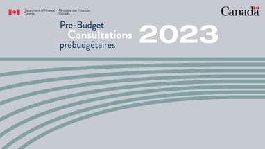 the pre - budget consultations look and feel