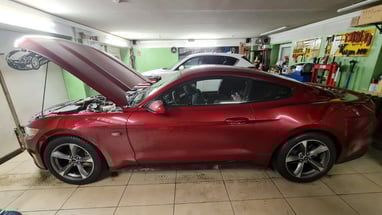 Mustang OEM parkavimo sistemos instaliavimas
