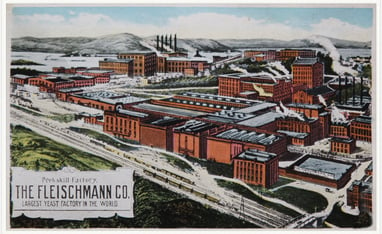 Vintage illustrated post card of The Fleischmann Company, the largest yeast factory in the world