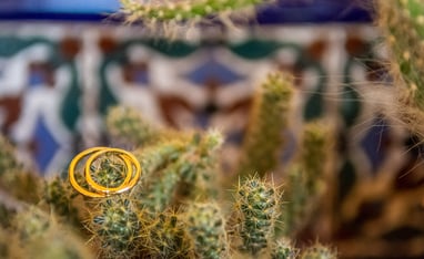 alianzas de los novios sobre un cactus fotografos de casamientos