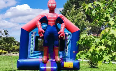 a spider - man in a spider - man costume