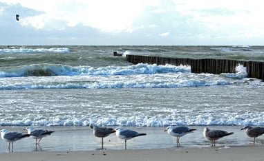 Baltic Sea