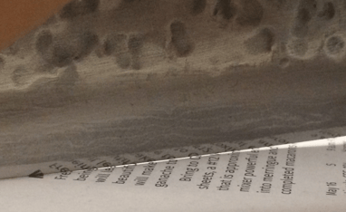 10,000 grit synthetic finish