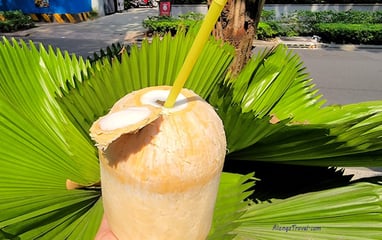 🥥 with a cut on the top & inserted straw that I arranged in front of round🌴tree leaves in 🇻🇳