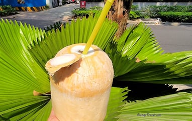 🥥 with a cut on the top & inserted straw that I arranged in front of round🌴tree leaves in 🇻🇳 