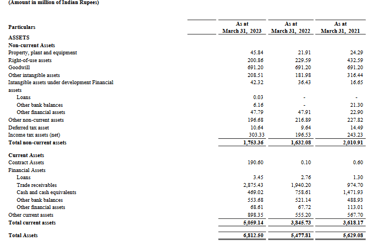 assets balance sheet_yatra online ipo analysis_the moat investor