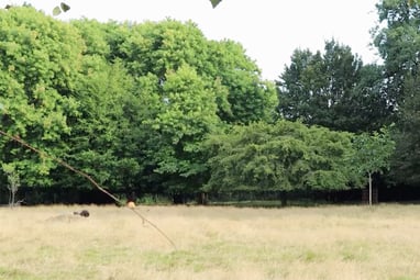 Marthe Lallemand - Tarnung (Videostill) 2023
