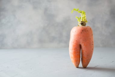 Misshapen orange carrot looking like legs standing up