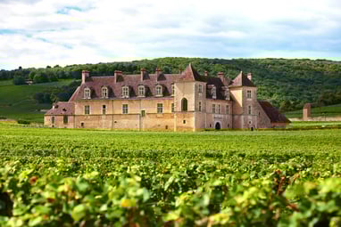 Loire Valley tour with visits to Chenonceau and Amboise castles