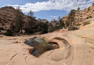 Zion 