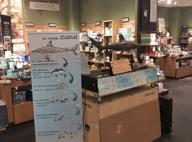 panneau la chaîne alimentaire du requin avec Hubert le requin au magasin nature et découvertes