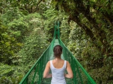 research shows down time for rest is important for brain