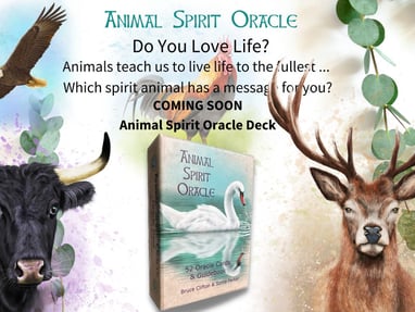 Animal Spirit oracle deck, publicity