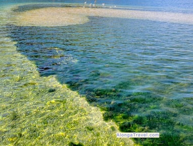 Crystal-clear water of Bay of Kotor with patches of seaweed forming an interesting pattern