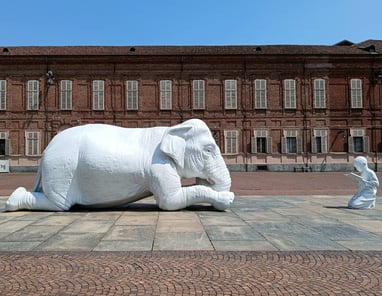 Palazzo Reale, Torino