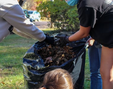 Group of young adult volunteers bagging leaves.