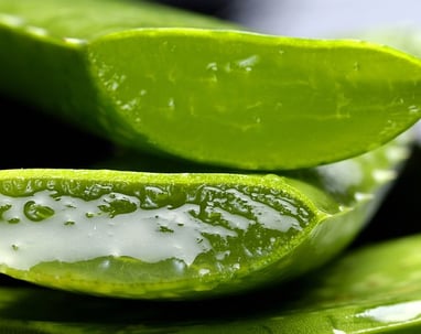 aloe vera para pelo graso