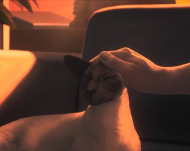 a person petting a cat while sitting on a couch