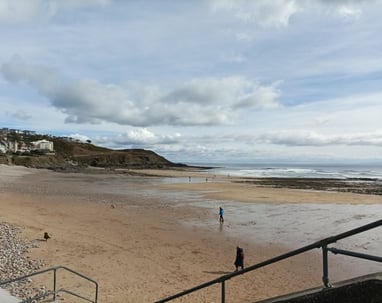 Dogs having fun on Langland Beach