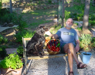 The master grower with a previous tomato harvest