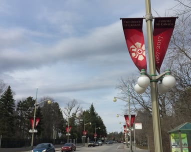 the 50th Order of Canada Anniversary flags displayed on Sussex Drive