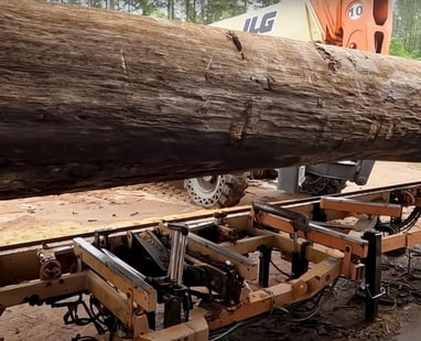 Massive sinker cypress log ready to be turned into outstanding lumber.