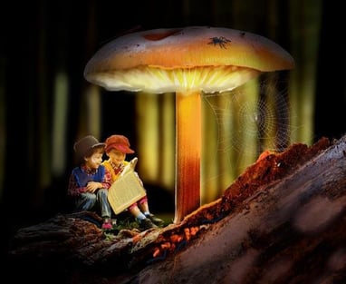 two boys reading under mushroom