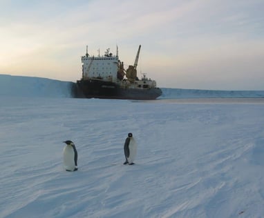 ANTARCTIQUE  ALAIN HUBERT PAPANIN DOMINIQUE KOPP