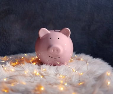 Compétences pour préparer les fêtes de fin d'année à petit prix