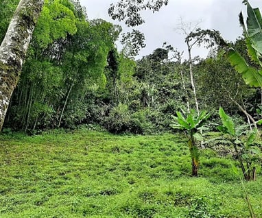 Lote en Venta La Florida Pereira