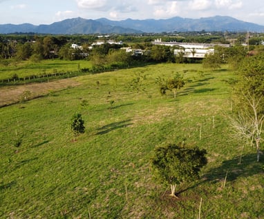 Lote en Venta Cerritos