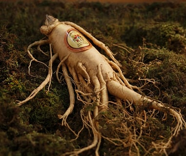 ginseng