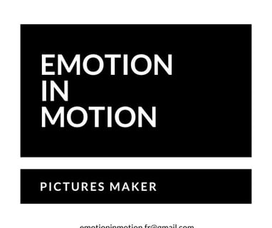 Logo Emotion in Motion FR