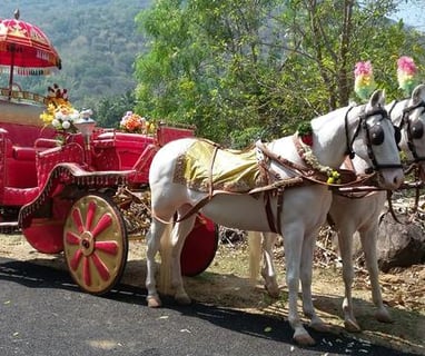entry horse sarat vandi madurai