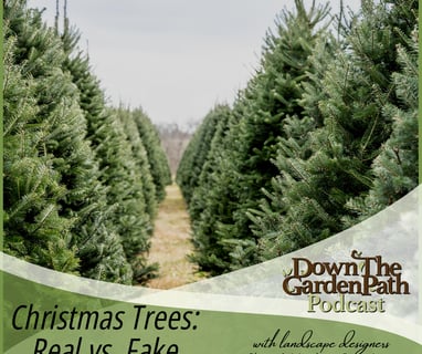 Natural Affinity Down the garden path podcast Christmas trees: real vs. fake