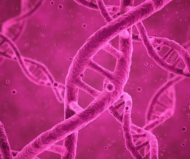 Understanding Your DNA
