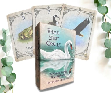 Animal Spirit oracle deck and cards