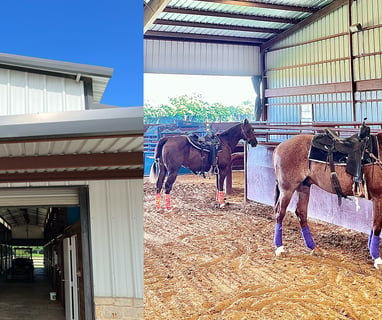 Lancaster Ranch - Reagan Lancaster - Myth of Cutting Horses