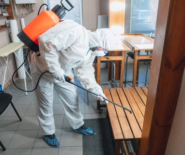 mold remediation AZ